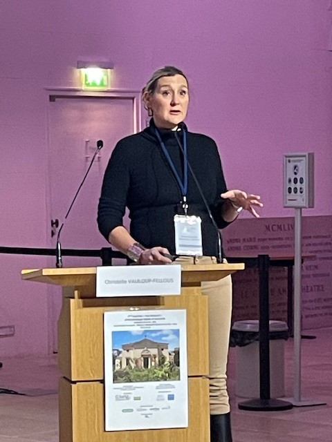 Christelle Vauloup-Fellous